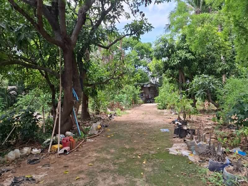 ที่ดินหนองหญ้า กาญจนบุรี, Kanchanaburi, Nong Ya, Muang Kanchanaburi, Kanchanaburi, , 9,800 sqm, Land For Sale, by The Best Property บอส, 500355245 - DDproperty.com