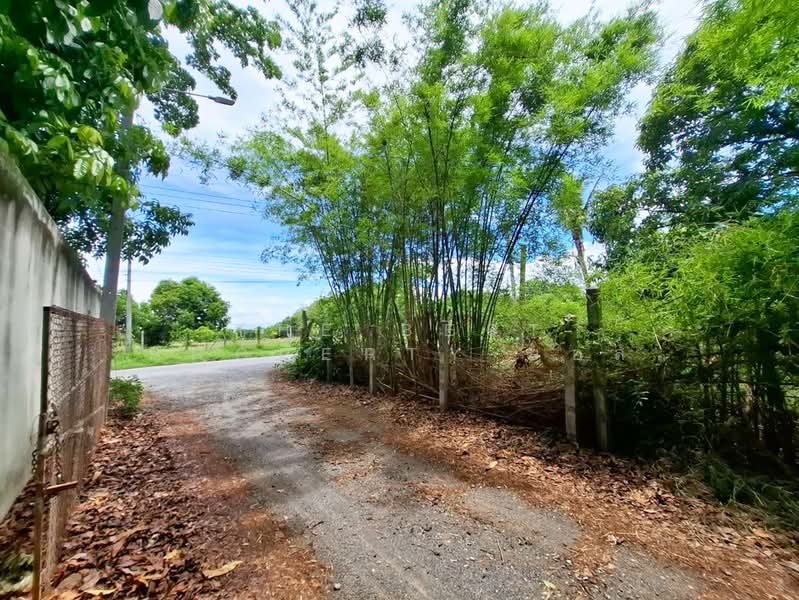 ที่ดินหนองหญ้า กาญจนบุรี, Kanchanaburi, Nong Ya, Muang Kanchanaburi, Kanchanaburi, , 9,800 sqm, Land For Sale, by The Best Property บอส, 500355245 - DDproperty.com