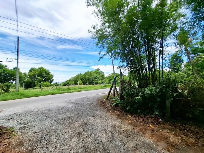 ที่ดินหนองหญ้า กาญจนบุรี, Kanchanaburi, Nong Ya, Muang Kanchanaburi, Kanchanaburi, , 9,800 sqm, Land For Sale, by The Best Property บอส, 500355245 - DDproperty.com