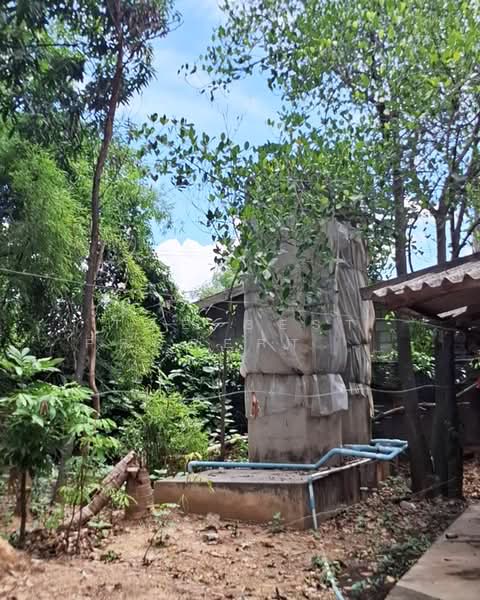ที่ดินหนองหญ้า กาญจนบุรี, กาญจนบุรี, หนองหญ้า, เมืองกาญจนบุรี, กาญจนบุรี, 9,800 ตร.ม., ที่ดิน ขาย, โดย The Best Property บอส, 500355245 - DDproperty.com