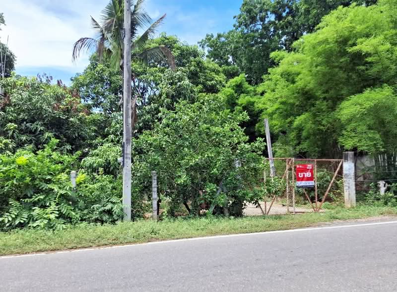 ที่ดินหนองหญ้า กาญจนบุรี, กาญจนบุรี, หนองหญ้า, เมืองกาญจนบุรี, กาญจนบุรี, 9,800 ตร.ม., ที่ดิน ขาย, โดย The Best Property บอส, 500355245 - DDproperty.com