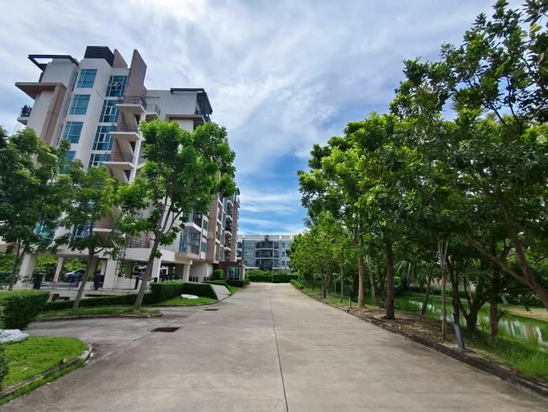 Green Lake Sriracha, Chon Buri (Pattaya), 399 Si Racha-Nong Yai Bu Rd, Surasak, Si Racha, Chon Buri (Pattaya), 1 Bedroom, 50 sqm, Condo For Rent, by Dusit Saengfa, 500355269 - DDproperty.com