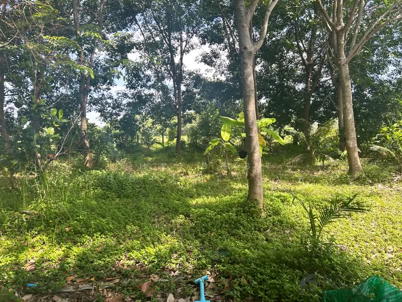 บ้านเดี่ยวพร้อมที่ดินท่าใหม่ จันทบุรี, จันทบุรี, คลองขุด, ท่าใหม่, จันทบุรี, 100 ตร.ม., บ้านเดี่ยว ขาย, โดย The Best Property มัต, 500355287 - DDproperty.com
