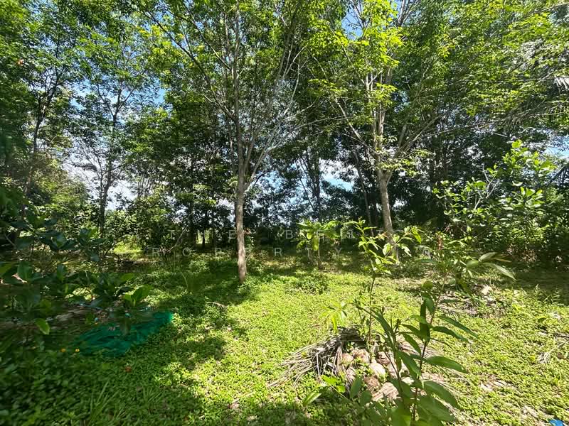 บ้านเดี่ยวพร้อมที่ดินท่าใหม่ จันทบุรี, Chanthaburi, Khlong Khut, Tha Mai, Chanthaburi, 2 Bedrooms, 100 sqm, Single Detached House For Sale, by The Best Property มัต, 500355287 - DDproperty.com