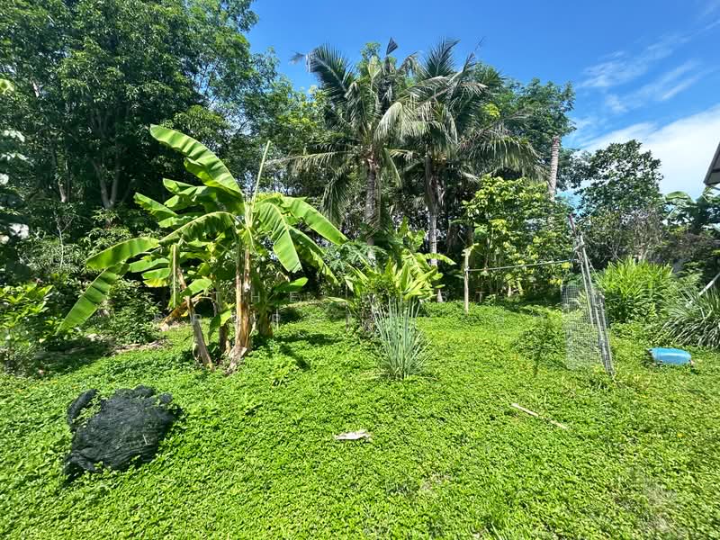 บ้านเดี่ยวพร้อมที่ดินท่าใหม่ จันทบุรี, Chanthaburi, Khlong Khut, Tha Mai, Chanthaburi, 2 Bedrooms, 100 sqm, Single Detached House For Sale, by The Best Property มัต, 500355287 - DDproperty.com