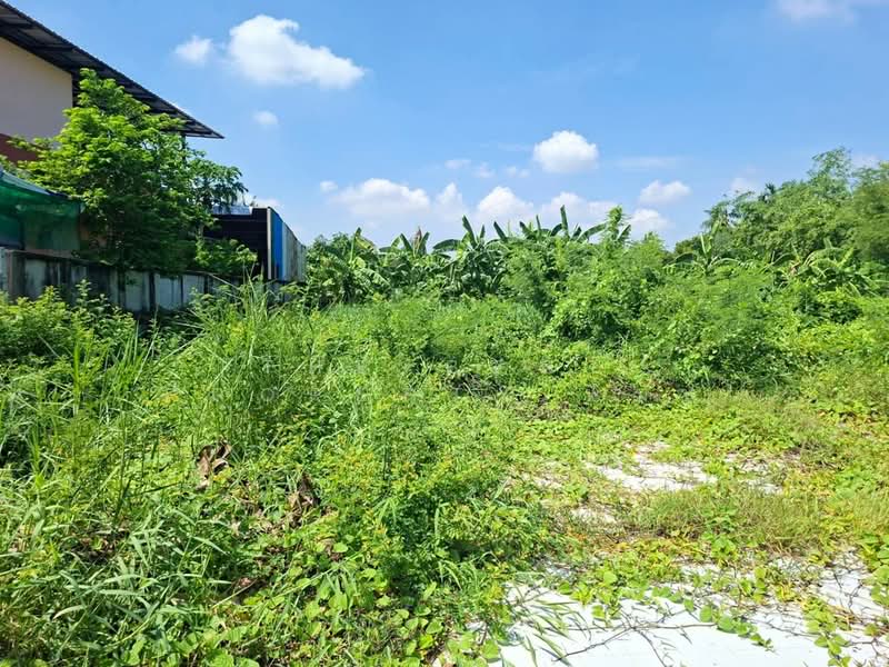 ที่ดินตลิ่งชัน กรุงเทพมหานคร, กรุงเทพ, ตลิ่งชัน, กรุงเทพ, 400 ตร.ม., ที่ดิน ขาย, โดย The Best Property พิมพ์, 500355305 - DDproperty.com