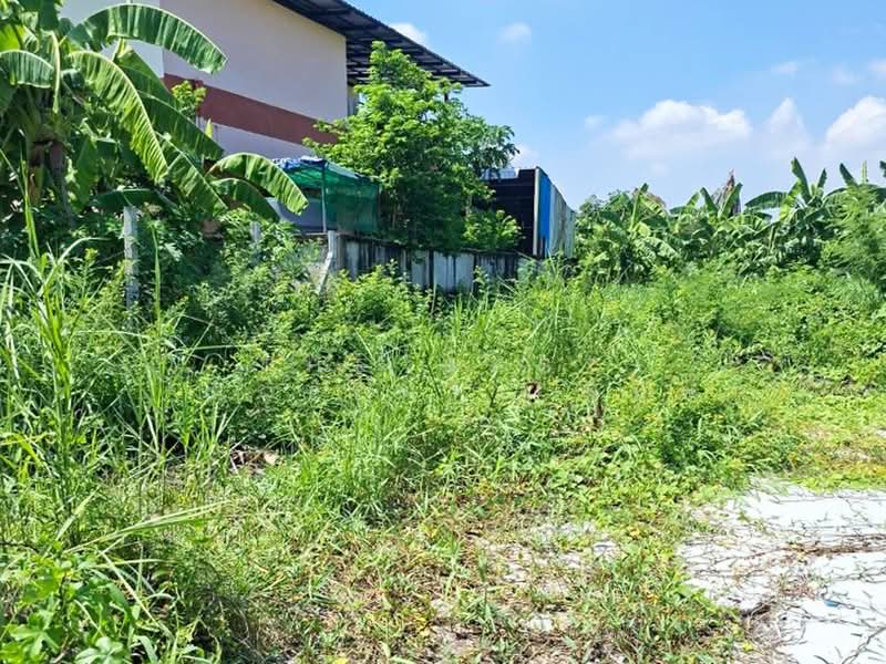 ที่ดินตลิ่งชัน กรุงเทพมหานคร, Bangkok, Taling Chan, Bangkok, , 400 sqm, Land For Sale, by The Best Property พิมพ์, 500355305 - DDproperty.com
