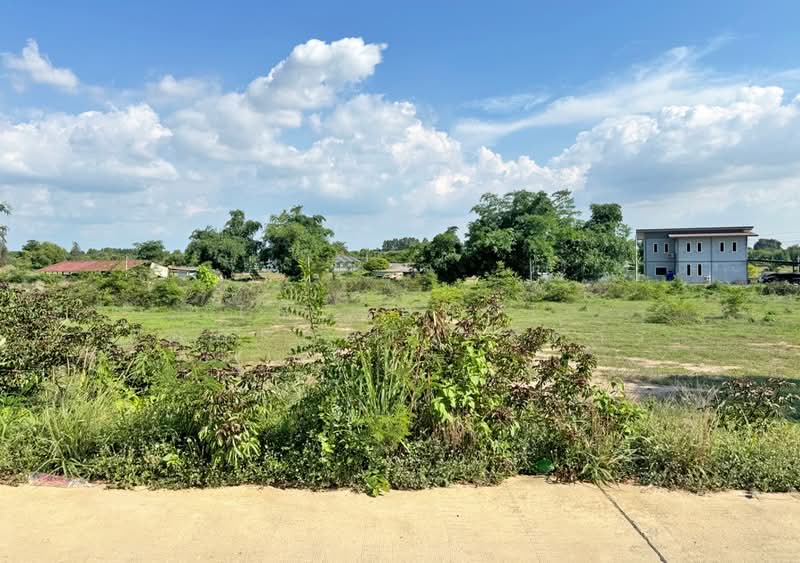 ที่ดินแปลงยาว ฉะเชิงเทรา, Chachoengsao, Hua Samrong, Plaeng Yao, Chachoengsao, , 14,504 sqm, Land For Sale, by The Best Property กีต้าร์, 500355312 - DDproperty.com