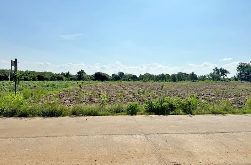 ที่ดินแปลงยาว ฉะเชิงเทรา, Chachoengsao, Hua Samrong, Plaeng Yao, Chachoengsao, , 14,504 sqm, Land For Sale, by The Best Property กีต้าร์, 500355312 - DDproperty.com