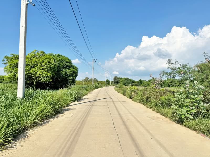 ที่ดินแปลงยาว ฉะเชิงเทรา, Chachoengsao, Hua Samrong, Plaeng Yao, Chachoengsao, , 14,504 sqm, Land For Sale, by The Best Property กีต้าร์, 500355312 - DDproperty.com