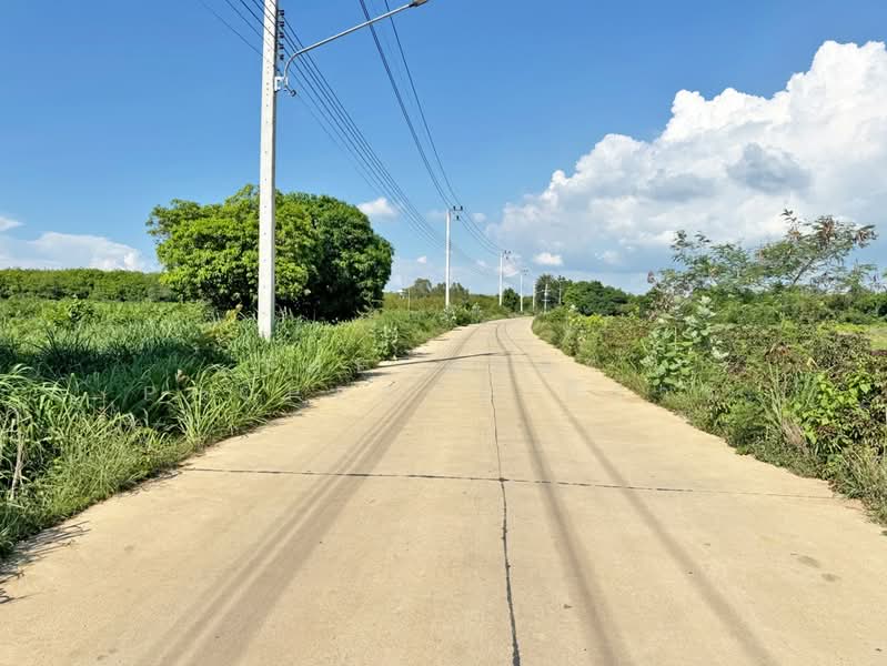 ที่ดินแปลงยาว ฉะเชิงเทรา, Chachoengsao, Hua Samrong, Plaeng Yao, Chachoengsao, , 14,504 sqm, Land For Sale, by The Best Property กีต้าร์, 500355312 - DDproperty.com