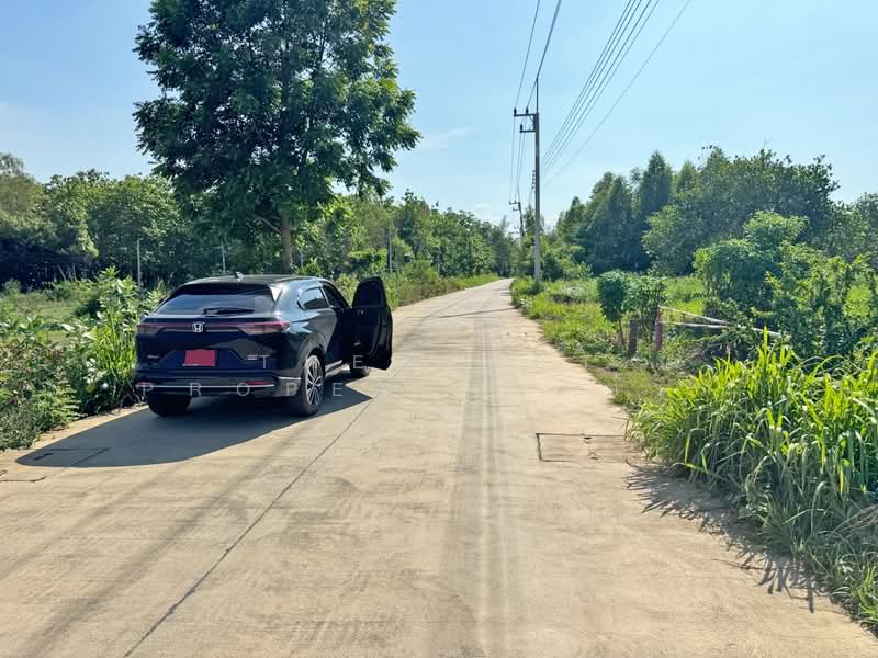 ที่ดินแปลงยาว ฉะเชิงเทรา, ฉะเชิงเทรา, หัวสำโรง, แปลงยาว, ฉะเชิงเทรา, 14,504 ตร.ม., ที่ดิน ขาย, โดย The Best Property กีต้าร์, 500355312 - DDproperty.com