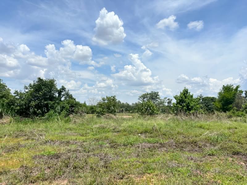 ที่ดินบ้านไผ่ ขอนแก่น, ขอนแก่น, ในเมือง, บ้านไผ่, ขอนแก่น, 12,964 ตร.ม., ที่ดิน ขาย, โดย The Best Property Agent พร, 500355329 - DDproperty.com
