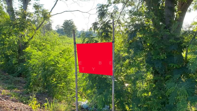 ที่ดินบ้านผือ อุดรธานี, Udon Thani, Hai Sok, Ban Phu, Udon Thani, , 24,820 sqm, Land For Sale, by The Best Property Agent พัสต้า, 500355336 - DDproperty.com