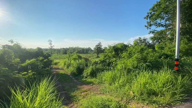 ที่ดินบ้านผือ อุดรธานี, Udon Thani, Hai Sok, Ban Phu, Udon Thani, , 24,820 sqm, Land For Sale, by The Best Property Agent พัสต้า, 500355336 - DDproperty.com