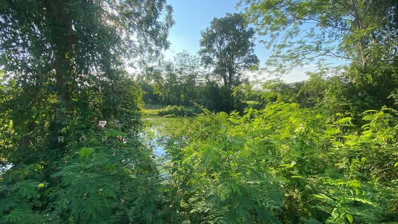 ที่ดินบ้านผือ อุดรธานี, Udon Thani, Hai Sok, Ban Phu, Udon Thani, , 24,820 sqm, Land For Sale, by The Best Property Agent พัสต้า, 500355336 - DDproperty.com