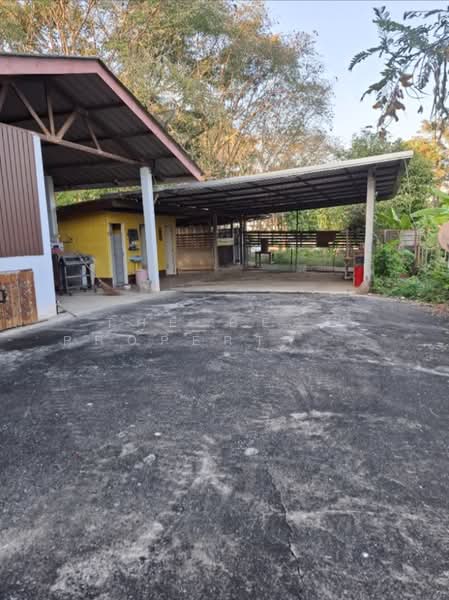 บ้านเดี่ยวเทิง เชียงราย, เชียงราย, เวียง, เทิง, เชียงราย, 100 ตร.ม., บ้านเดี่ยว ขาย, โดย The Best Property Agent ไนล์, 500355357 - DDproperty.com