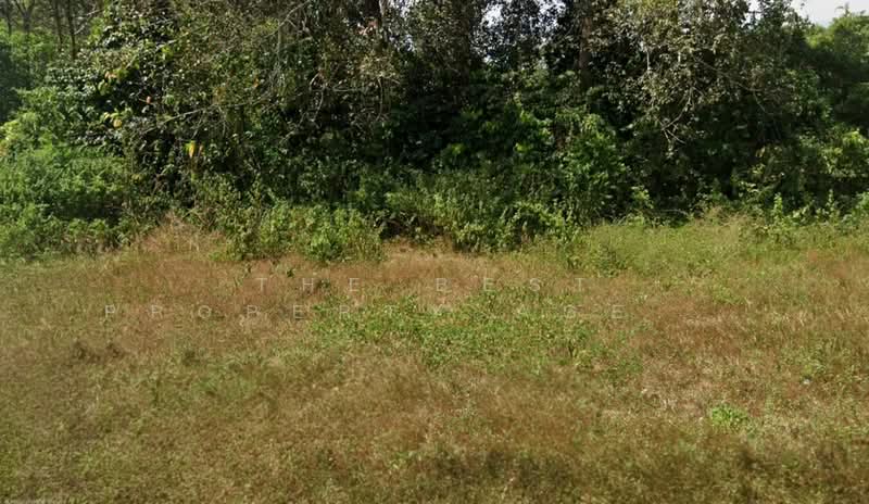 ที่ดินบ้านควน สตูล, Satun, Ban Khuan, Muang Satun, Satun, , 748 sqm, Land For Sale, by The Best Property Agent ณัฐ, 500355373 - DDproperty.com