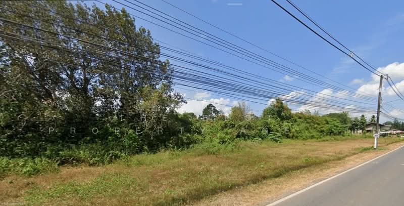 ที่ดินบ้านควน สตูล, Satun, Ban Khuan, Muang Satun, Satun, , 748 sqm, Land For Sale, by The Best Property Agent ณัฐ, 500355373 - DDproperty.com