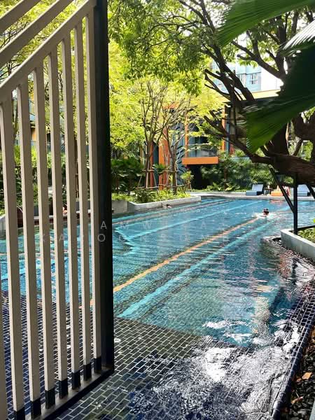 The Base Sukhumvit 50 : เดอะ เบส สุขุมวิท 50, กรุงเทพ, ซอยเริ่มเจริญ แยก 1 ถนนสุขุมวิท 50, พระโขนง, คลองเตย, กรุงเทพ, 36 ตร.ม., คอนโด ให้เช่า, โดย Amwika Karoonsombat, 500355421 - DDproperty.com