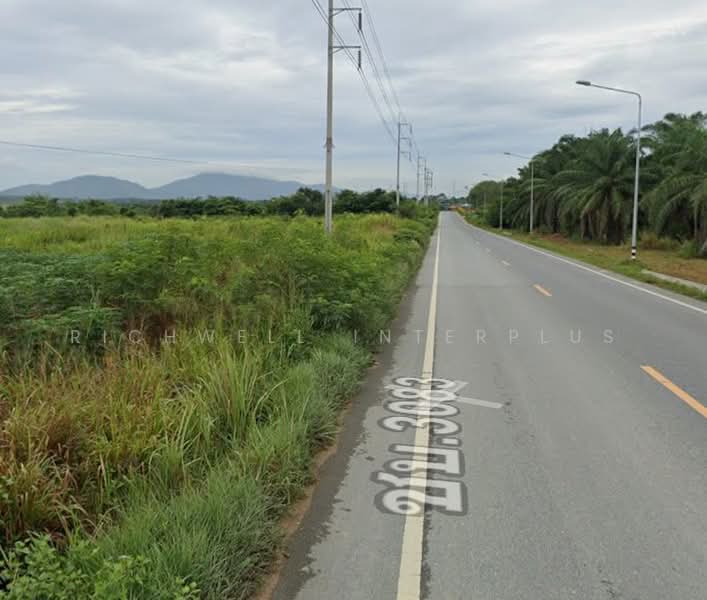 Land for sale in Nong Suea Chang, Muang Lai, 3 rai, adjacent to WHA Industrial Estate, on Road 3083, Chon Buri (Pattaya), Nong Sua Chang, Nong Yai, Chon Buri (Pattaya), , 4,800 sqm, Land For Sale, by RICHWELL INTERPLUS, 500355651 - DDproperty.com