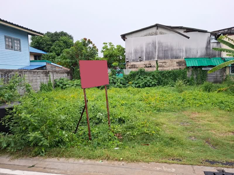 ที่ดินบางพลี สมุทรปราการ, Samut Prakan, Bang Kaeo, Bang Plee, Samut Prakan, , 240 sqm, Land For Sale, by The Best Property Agent น้อย, 500355698 - DDproperty.com