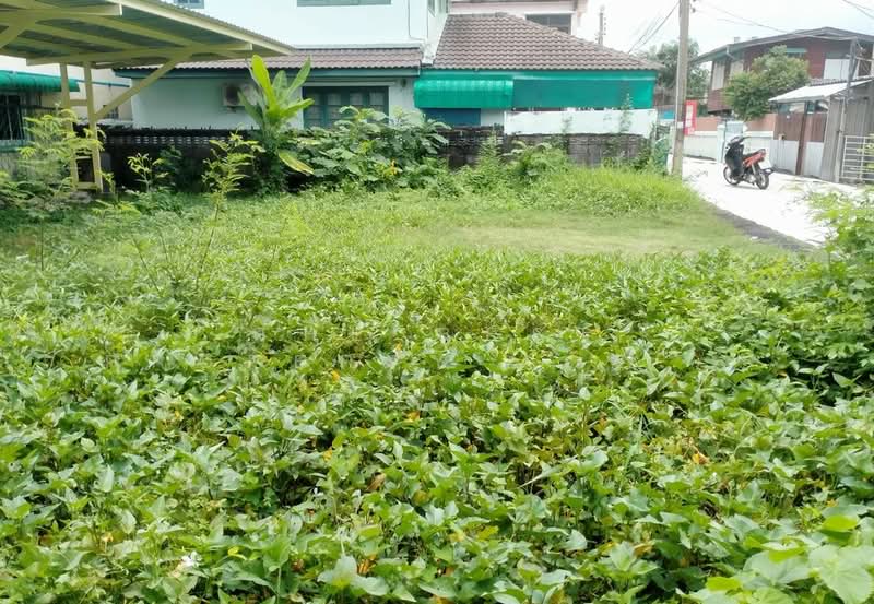 ที่ดินบางพลี สมุทรปราการ, Samut Prakan, Bang Kaeo, Bang Plee, Samut Prakan, , 240 sqm, Land For Sale, by The Best Property Agent น้อย, 500355698 - DDproperty.com