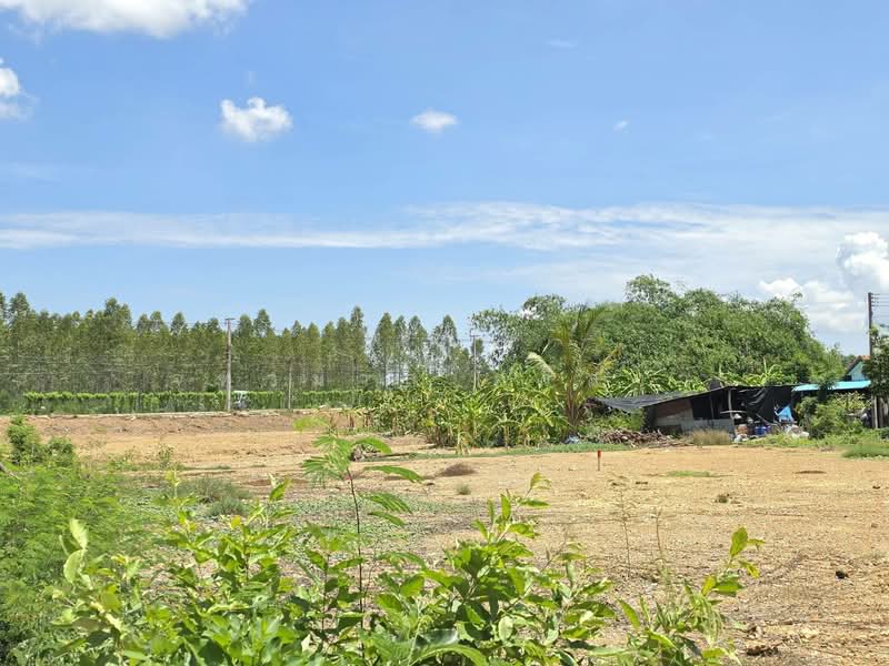 ขายที่ดินเปล่า ถมแล้ว ต.หินกอง อ.เมืองราชบุรี จ.ราชบุรี, Ratchaburi, Hin Kong, Muang Ratchaburi, Ratchaburi, , 720 sqm, Land For Sale, by จุฑามาส ศรีสง่า, 500355722 - DDproperty.com