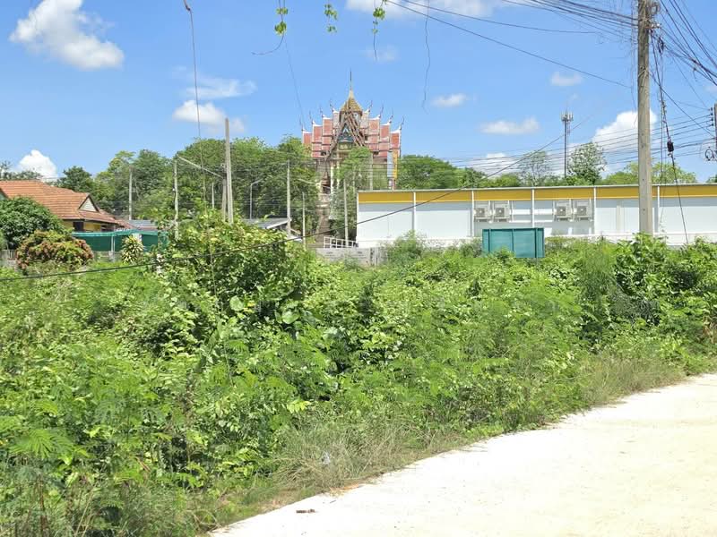 ขายที่ดินเปล่า ถมแล้ว ต.หินกอง อ.เมืองราชบุรี จ.ราชบุรี, ราชบุรี, หินกอง, เมืองราชบุรี, ราชบุรี, 720 ตร.ม., ที่ดิน ขาย, โดย จุฑามาส ศรีสง่า, 500355722 - DDproperty.com