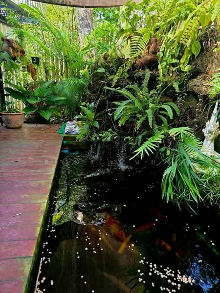 ขาย บ้านเดี่ยว โซนอำเภอเมืองเชียงใหม่, เชียงใหม่, สุเทพ, เมืองเชียงใหม่, เชียงใหม่, 85 ตร.ม., บ้านเดี่ยว ขาย, โดย อามร ยืนยง, 500355741 - DDproperty.com