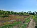 ที่ดินเดิมบางนางบวช สุพรรณบุรี, สุพรรณบุรี