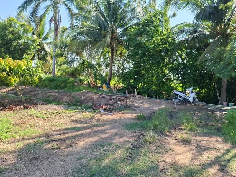 ที่ดินเดิมบางนางบวช สุพรรณบุรี, Suphan Buri, Khao Din, Doembang Nangbuat, Suphan Buri, , 12,092 sqm, Land For Sale, by The Best Property พิมพ์, 500355787 - DDproperty.com