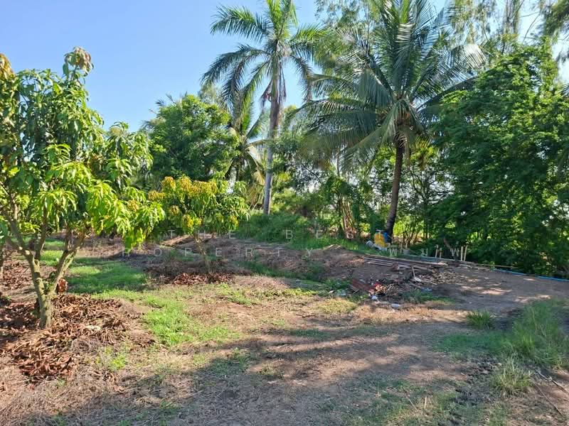 ที่ดินเดิมบางนางบวช สุพรรณบุรี, Suphan Buri, Khao Din, Doembang Nangbuat, Suphan Buri, , 12,092 sqm, Land For Sale, by The Best Property พิมพ์, 500355787 - DDproperty.com
