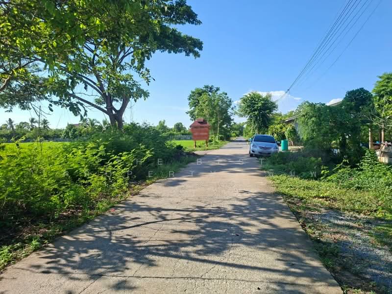 ที่ดินเดิมบางนางบวช สุพรรณบุรี, สุพรรณบุรี, เขาดิน, เดิมบางนางบวช, สุพรรณบุรี, 12,092 ตร.ม., ที่ดิน ขาย, โดย The Best Property พิมพ์, 500355787 - DDproperty.com