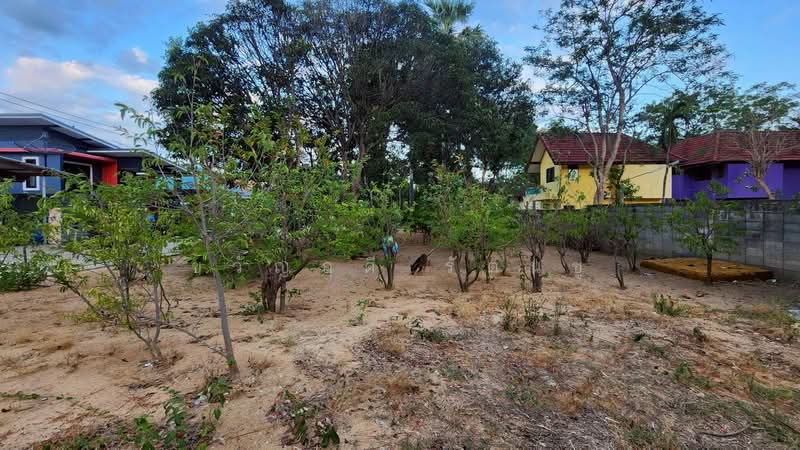 ชะอำ, เพชรบุรี, ชะอำ, เพชรบุรี, 192 ตร.ม., ที่ดิน ขาย, โดย ขวัญฤดี รัตนชู, 500355794 - DDproperty.com