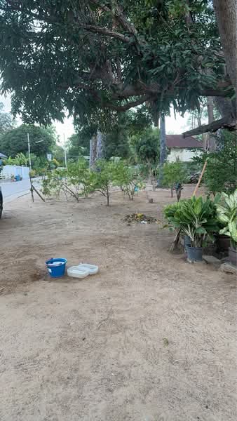 ชะอำ, เพชรบุรี, ชะอำ, เพชรบุรี, 192 ตร.ม., ที่ดิน ขาย, โดย ขวัญฤดี รัตนชู, 500355794 - DDproperty.com