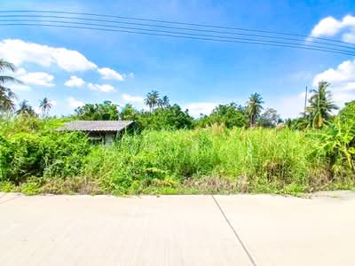ขาย - ที่ดินสามพราน นครปฐม, นครปฐม