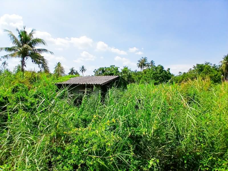 ที่ดินสามพราน นครปฐม, Nakhon Pathom, Hom Kret, Sam Phran, Nakhon Pathom, , 3,476 sqm, Land For Sale, by The Best Property Agent แอ๊ด, 500355801 - DDproperty.com