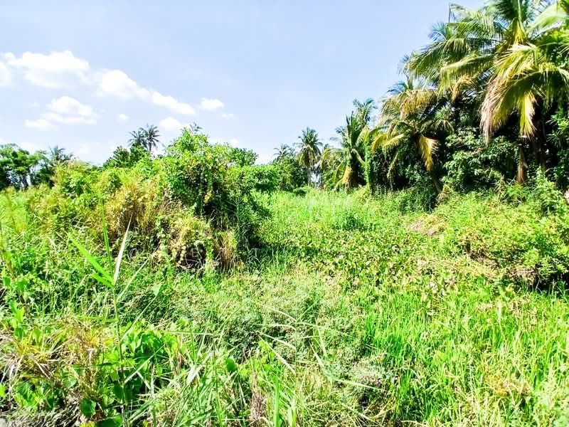 ที่ดินสามพราน นครปฐม, Nakhon Pathom, Hom Kret, Sam Phran, Nakhon Pathom, , 3,476 sqm, Land For Sale, by The Best Property Agent แอ๊ด, 500355801 - DDproperty.com
