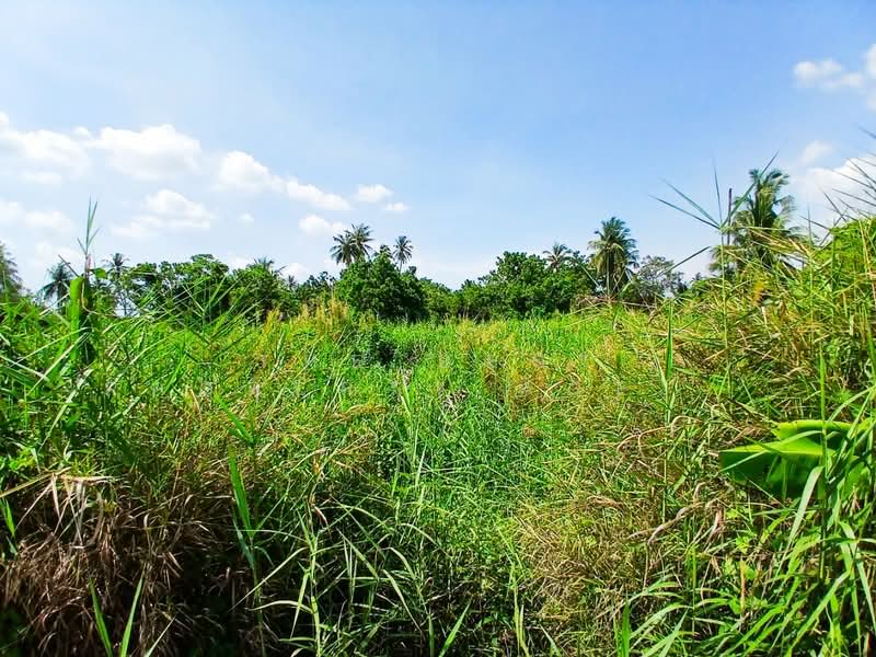 ที่ดินสามพราน นครปฐม, Nakhon Pathom, Hom Kret, Sam Phran, Nakhon Pathom, , 3,476 sqm, Land For Sale, by The Best Property Agent แอ๊ด, 500355801 - DDproperty.com