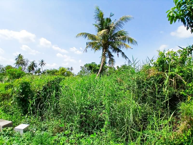 ที่ดินสามพราน นครปฐม, Nakhon Pathom, Hom Kret, Sam Phran, Nakhon Pathom, , 3,476 sqm, Land For Sale, by The Best Property Agent แอ๊ด, 500355801 - DDproperty.com