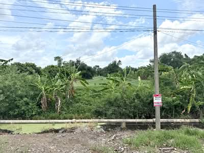 ขาย - ที่ดินหนองจอก กรุงเทพมหานคร, กรุงเทพ