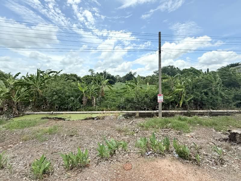 ที่ดินหนองจอก กรุงเทพมหานคร, กรุงเทพ, กระทุ่มราย, หนองจอก, กรุงเทพ, 5,076 ตร.ม., ที่ดิน ขาย, โดย The Best Property Agent เมญ่า, 500355835 - DDproperty.com