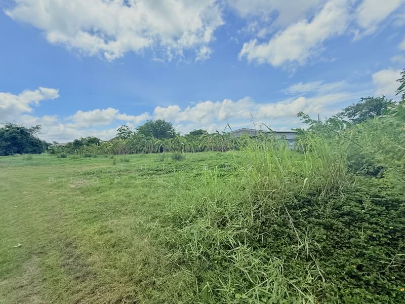 ที่ดินหนองจอก กรุงเทพมหานคร, กรุงเทพ, กระทุ่มราย, หนองจอก, กรุงเทพ, 5,076 ตร.ม., ที่ดิน ขาย, โดย The Best Property Agent เมญ่า, 500355835 - DDproperty.com