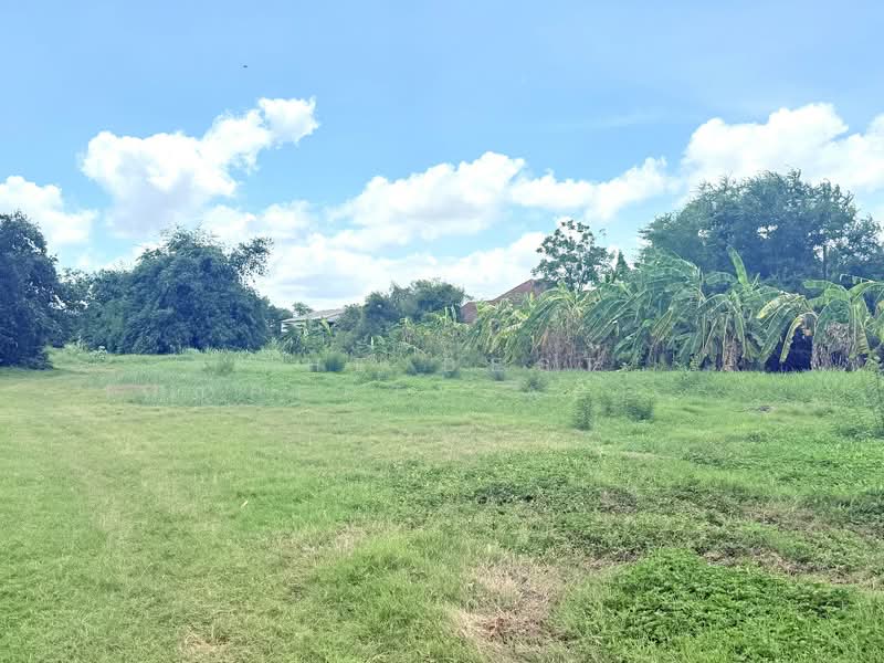 ที่ดินหนองจอก กรุงเทพมหานคร, Bangkok, Krathum Rai, Nong Chok, Bangkok, , 5,076 sqm, Land For Sale, by The Best Property Agent เมญ่า, 500355835 - DDproperty.com