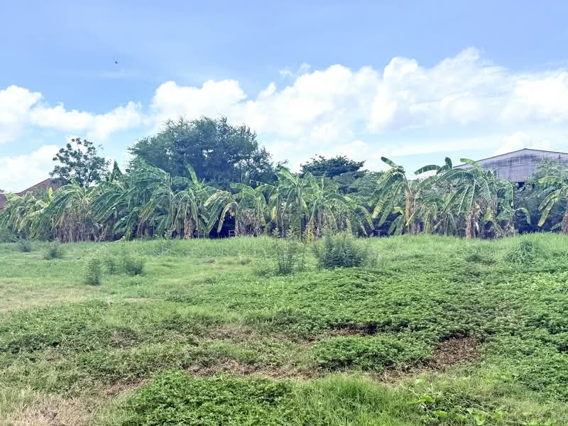 ที่ดินหนองจอก กรุงเทพมหานคร, กรุงเทพ, กระทุ่มราย, หนองจอก, กรุงเทพ, 5,076 ตร.ม., ที่ดิน ขาย, โดย The Best Property Agent เมญ่า, 500355835 - DDproperty.com