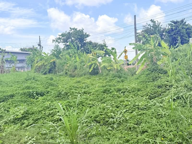ที่ดินหนองจอก กรุงเทพมหานคร, กรุงเทพ, กระทุ่มราย, หนองจอก, กรุงเทพ, 5,076 ตร.ม., ที่ดิน ขาย, โดย The Best Property Agent เมญ่า, 500355835 - DDproperty.com