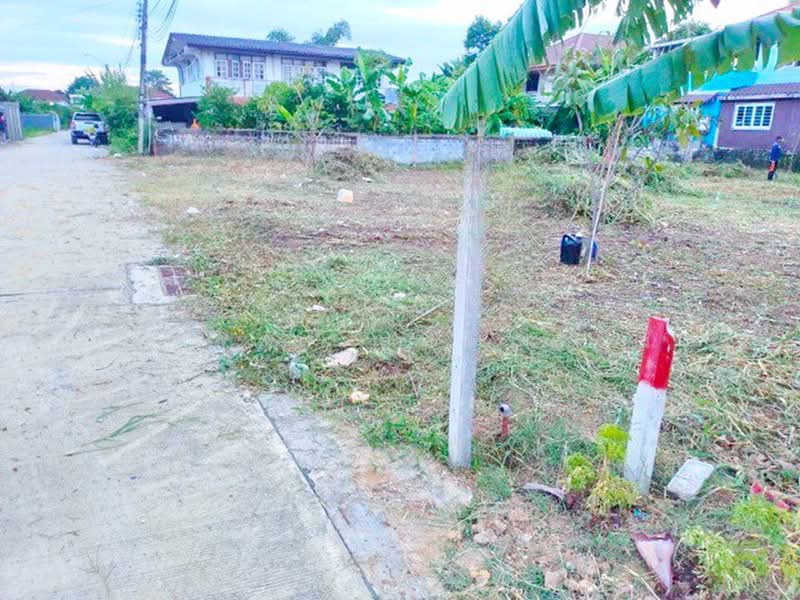 ไม่พบโครงการ, Bangkok, กาญจนาภิเษก พุทธมณฑลสาย 2 เพชรเกษม, Bang Phai, Bang Khae, Bangkok, , 660 sqm, Land For Rent, by ณัฐพงศ์ สุนทรอรุณ, 500355872 - DDproperty.com