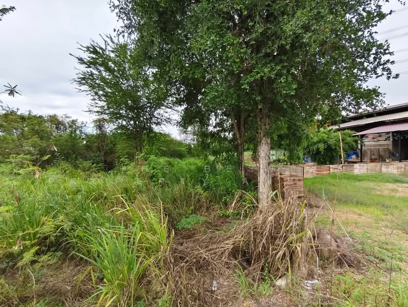 ที่ดินบ้านโป่ง ราชบุรี, Ratchaburi, Tha Pha, Ban Pong, Ratchaburi, , 1,800 sqm, Land For Sale, by The Best Property Agent แจ็ค, 500355885 - DDproperty.com