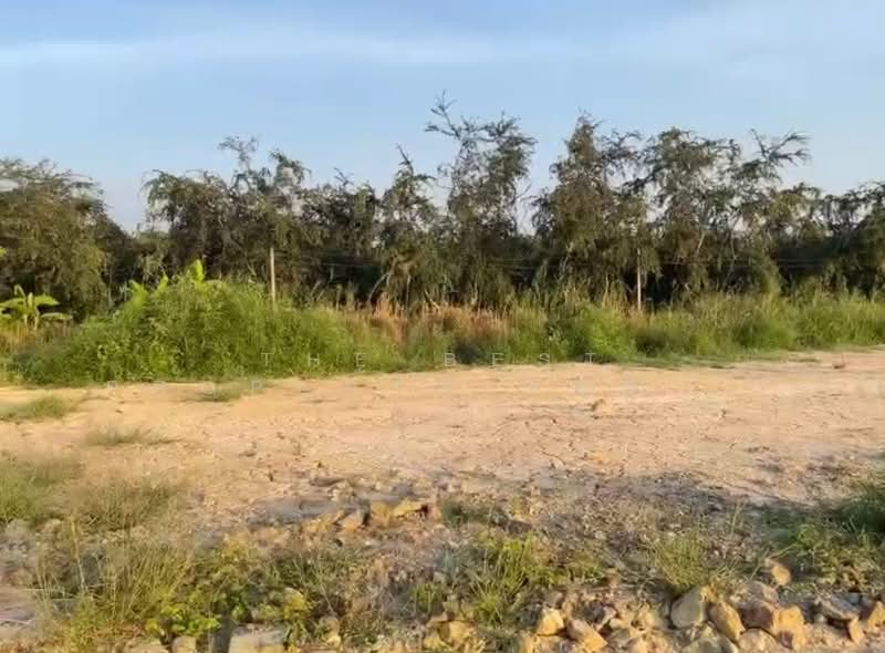 ที่ดินบ้านแพ้ว สมุทรสาคร, Samut Sakhon, Amphaeng, Ban Phaeo, Samut Sakhon, , 120 sqm, Land For Sale, by The Best Property Agent กวาง, 500355920 - DDproperty.com